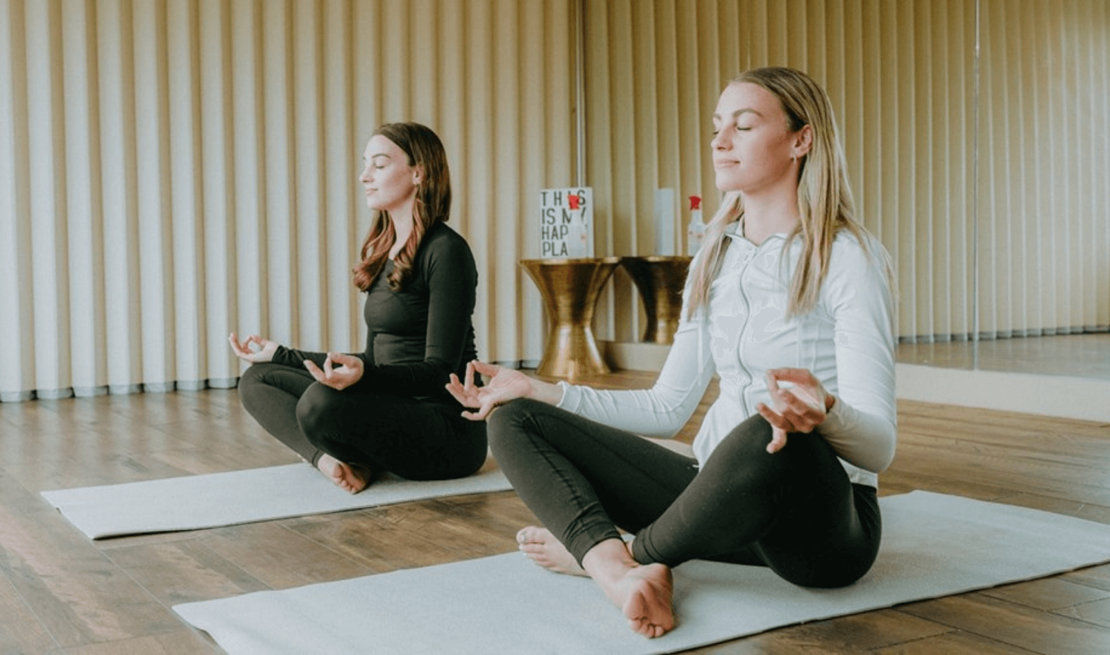 Wellness Experience 1